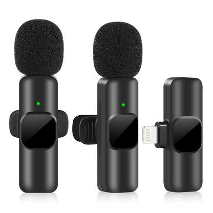 Microphone Portable Audio Video Recording Mini Mic