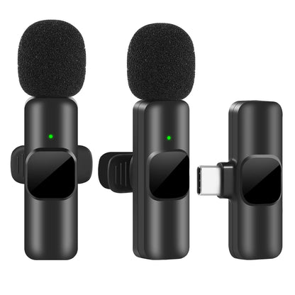 Microphone Portable Audio Video Recording Mini Mic