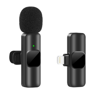 Microphone Portable Audio Video Recording Mini Mic