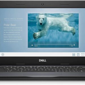 Dell Chromebook 11 3100